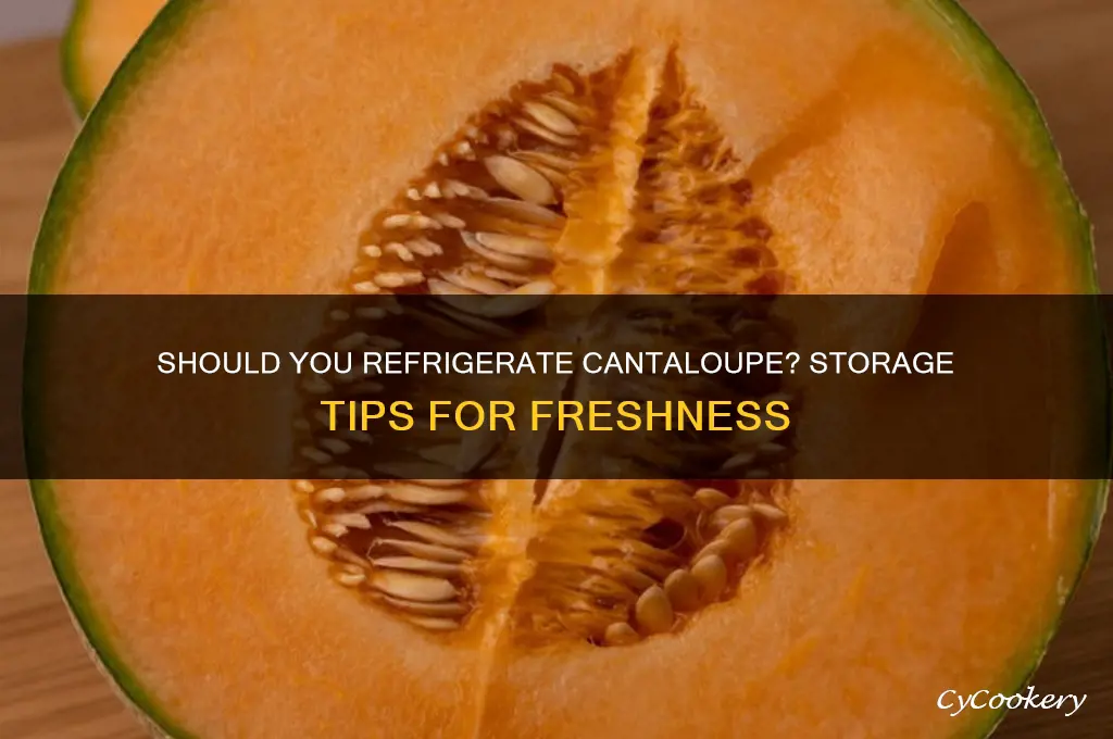 is is necessary to refrigerated a cantaloupe