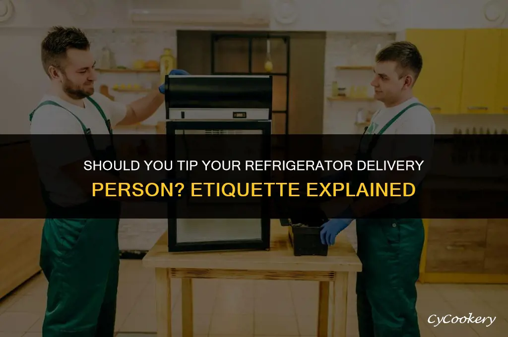 is it appropriate to tip a refrigerator delivery man