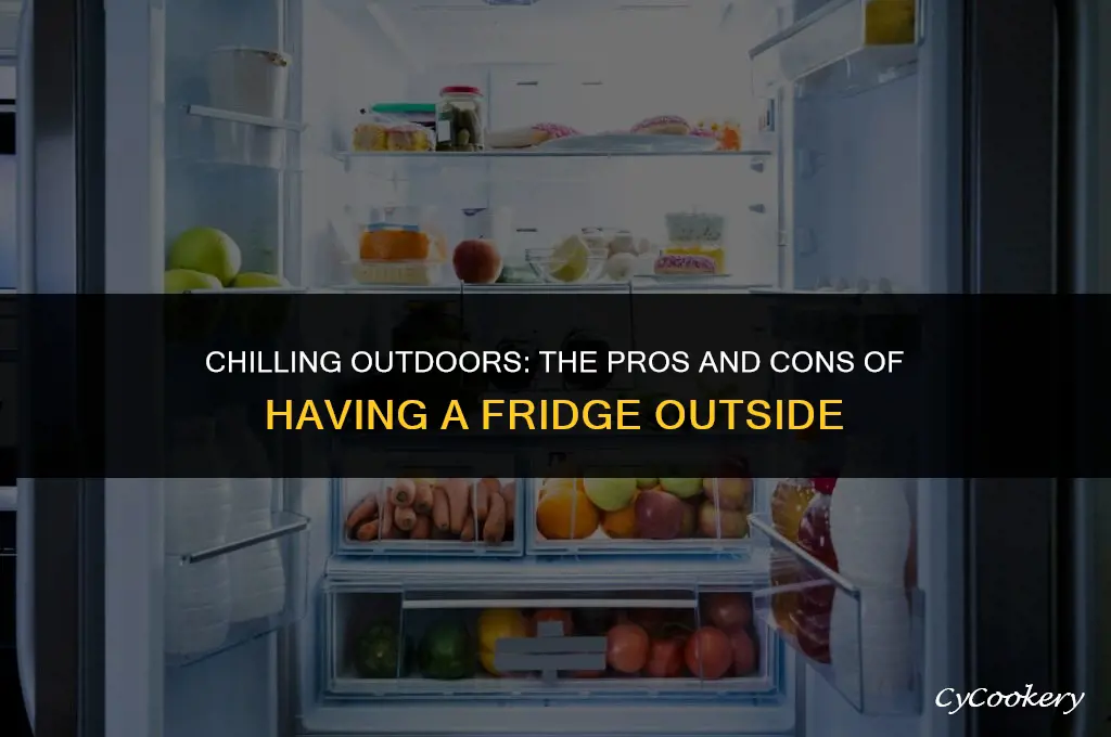 is it bad for a refrigerator to be outside