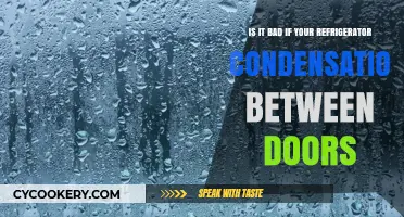 Chill Concerns: Understanding Refrigerator Condensation Between Doors