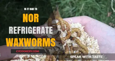 Should Waxworms Be Refrigerated? The Truth About Storage