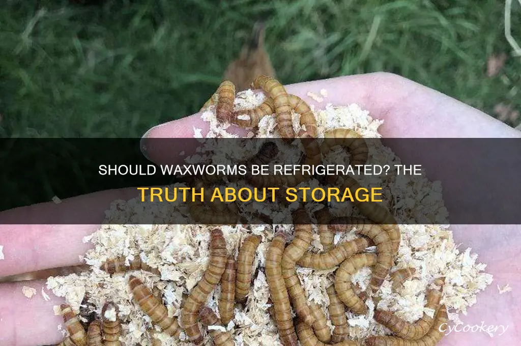 is it bad to nor refrigerate waxworms