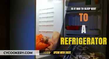 Chilling Sleep: The Pros and Cons of Snoozing Near a Fridge