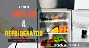 Unplugging Your Fridge: Risks, Benefits, and Best Practices Explained