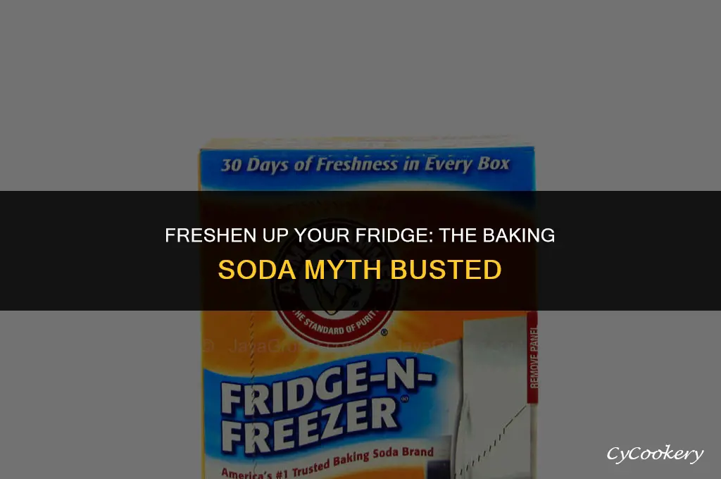 is it baking soda for the refrigerator smell