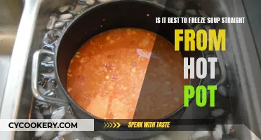 To Freeze or Not to Freeze: The Hot Soup Dilemma