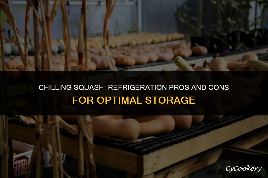 is it best to store squash in the refrigerator