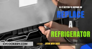 Repair vs. Replace: A Comprehensive Guide to Refrigerator Maintenance
