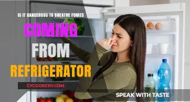 The Hidden Dangers of Refrigerator Fumes: What You Need to Know