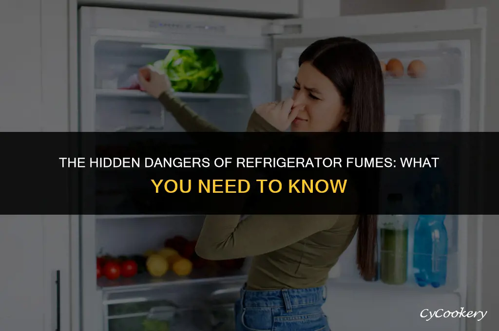 is it dangerous to breathe fumes coming from refrigerator