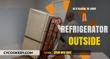 Is Leaving a Refrigerator Outside Illegal? Laws and Penalties Explained