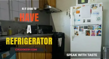 Is Owning a Refrigerator Legal? Exploring the Surprising Truth