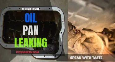 Engine Oil Pan Leaks: What You Need to Know