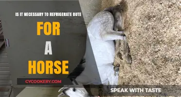 Understanding Bute Storage: Refrigeration Necessary for Horse Medication?