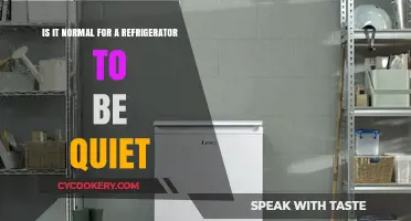 The Silent Sentinel: Is Your Quiet Fridge Normal?