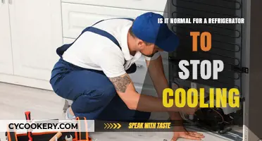 Chill Out: Understanding When Your Fridge Stops Cooling