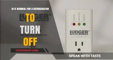 Is Your Fridge Playing Tricks? Understanding Refrigerator Power Cycles