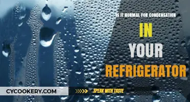 Chilled Clarity: Understanding Condensation in Your Refrigerator
