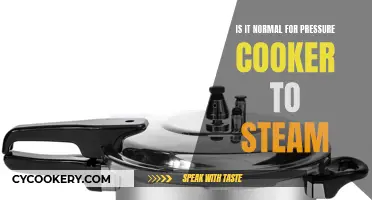 Steaming Pressure Cookers: Normal or Cause for Concern?