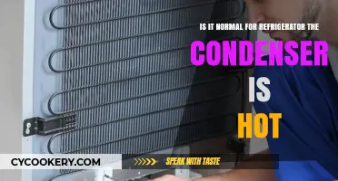 Is Your Refrigerator's Condenser Hot? What You Need to Know