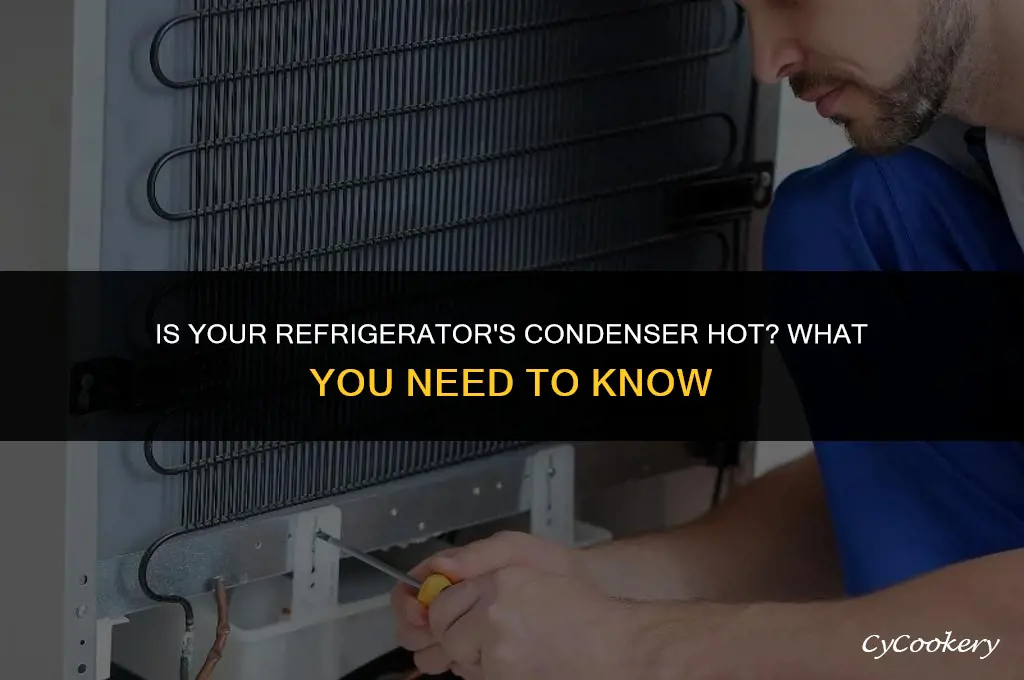 is it normal for refrigerator the condenser is hot