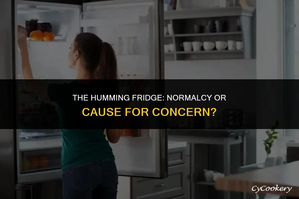 is it normal to hear your refrigerator running