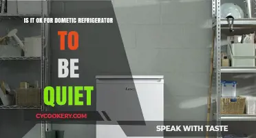 The Silent Guardian: Is Your Domestic Refrigerator's Quietness Normal?
