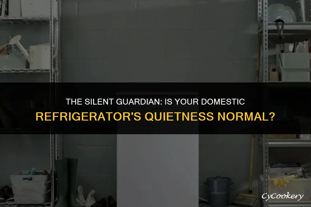 is it ok for dometic refrigerator to be quiet