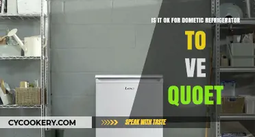 Exploring the Quirks: Is Your Domestic Refrigerator Quiet Enough?