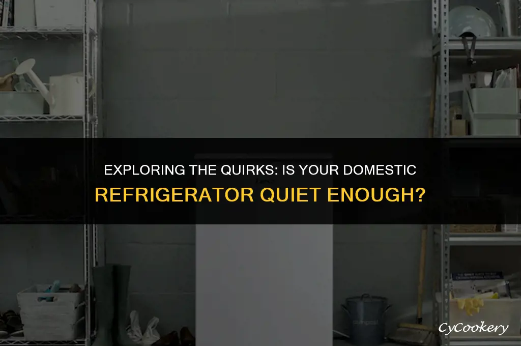 is it ok for dometic refrigerator to ve quoet
