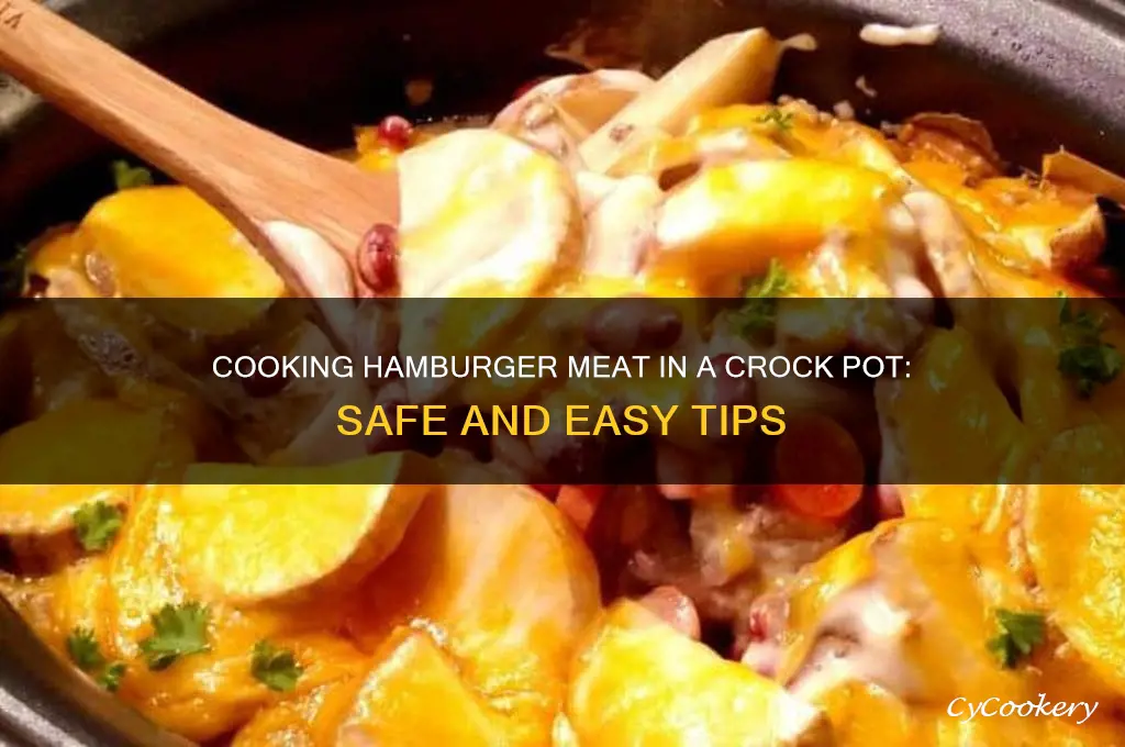is it ok to cook hamburger meat in crock pot