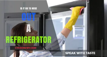Chill Maintenance: The Do's and Don'ts of Hosing Out Your Fridge