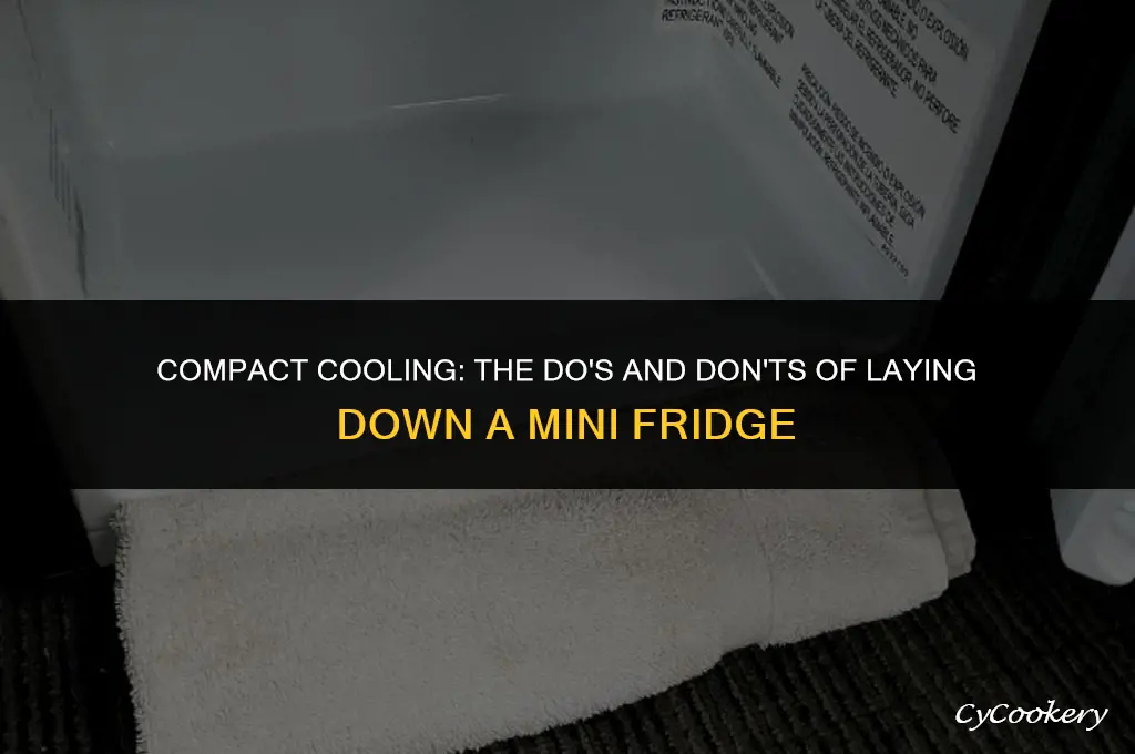 is it ok to lay down a mini refrigerator