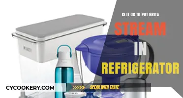 Chilling Your Brita Stream: A Guide to Refrigerating Your Filtered Water
