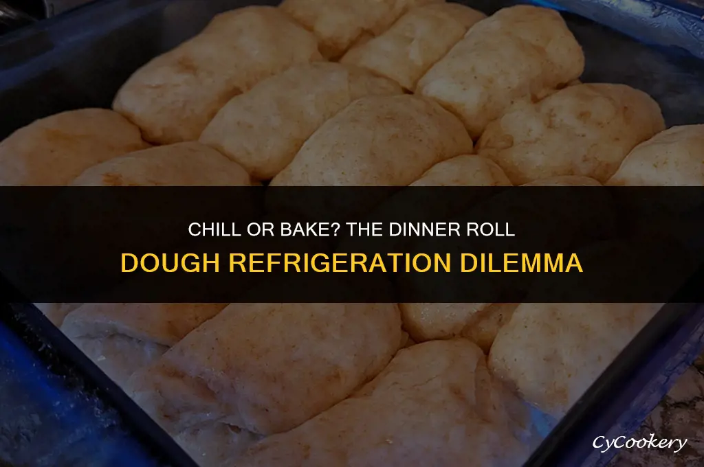 is it ok to put dinner roll dough refrigerator