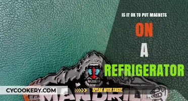 Magnet Mayhem: The Great Refrigerator Debate