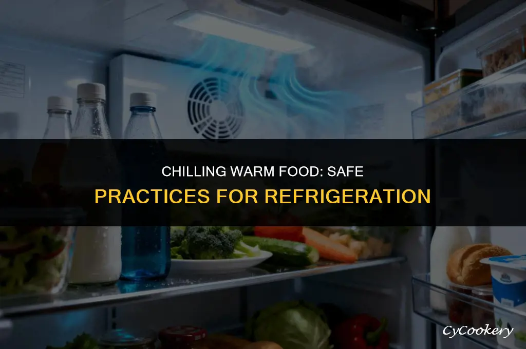 is it ok to put warm food in refrigerator