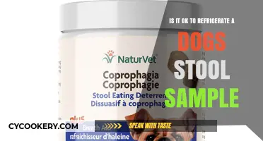 Chilling Canine Contributions: The Scoop on Refrigerating Dog Stool Samples