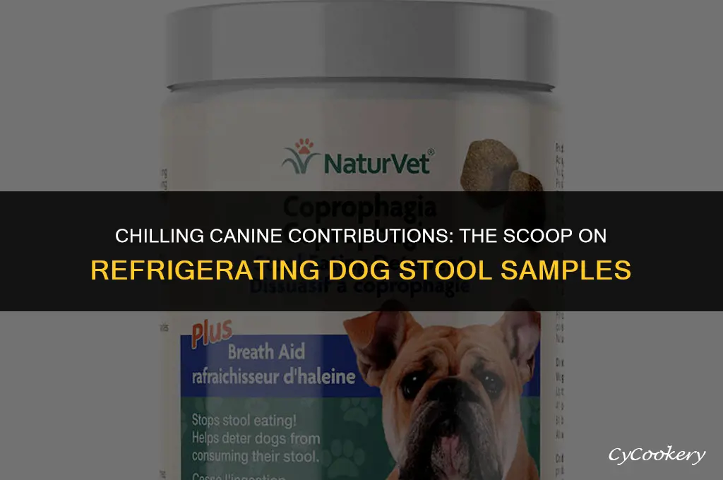 is it ok to refrigerate a dogs stool sample