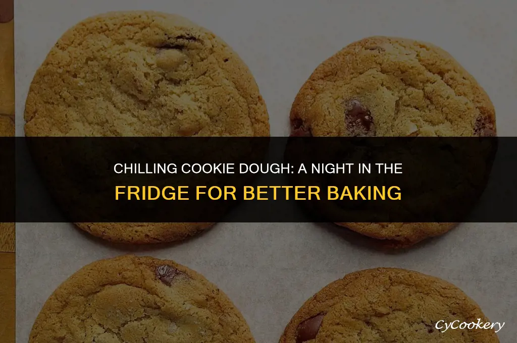 is it ok to refrigerate cookie dough overnight