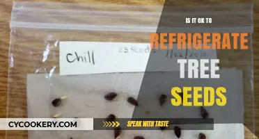 Refrigerating Tree Seeds: Best Practices for Germination and Storage
