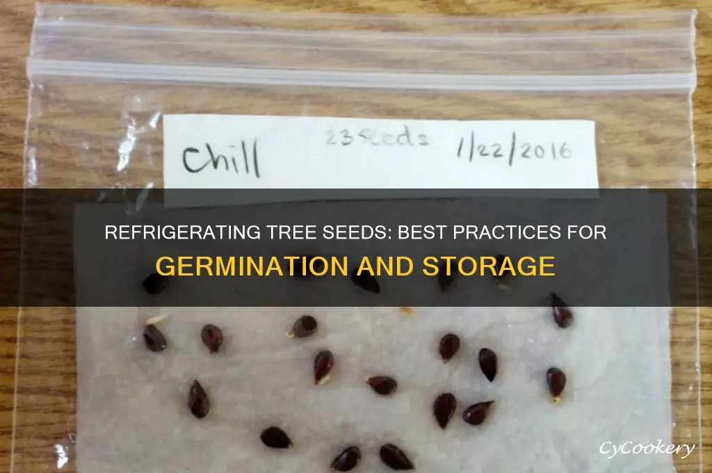 is it ok to refrigerate tree seeds