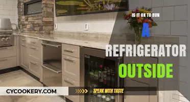 Chilling Outdoors: The Pros and Cons of Running a Fridge Outside
