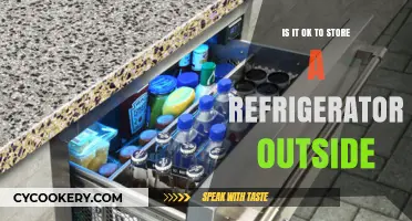 Outdoor Refrigerator Storage: A Chilly Debate on Safety and Efficiency
