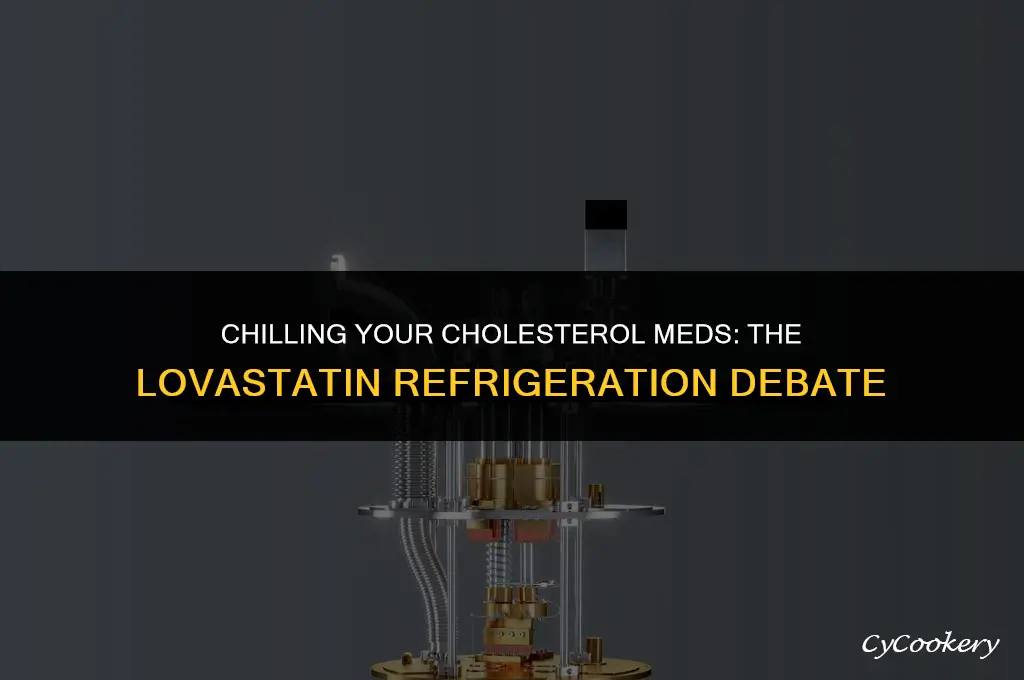 is it ok to store lovastatin in the refrigerator