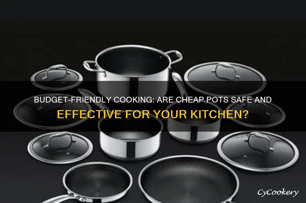 is it ok to use cheap pots for cooking