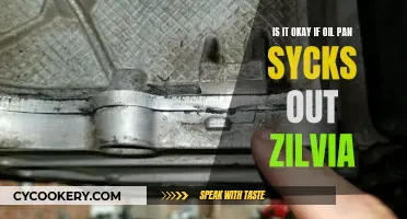 Zilvia's Oil Pan: Is It Okay to Stick Out?