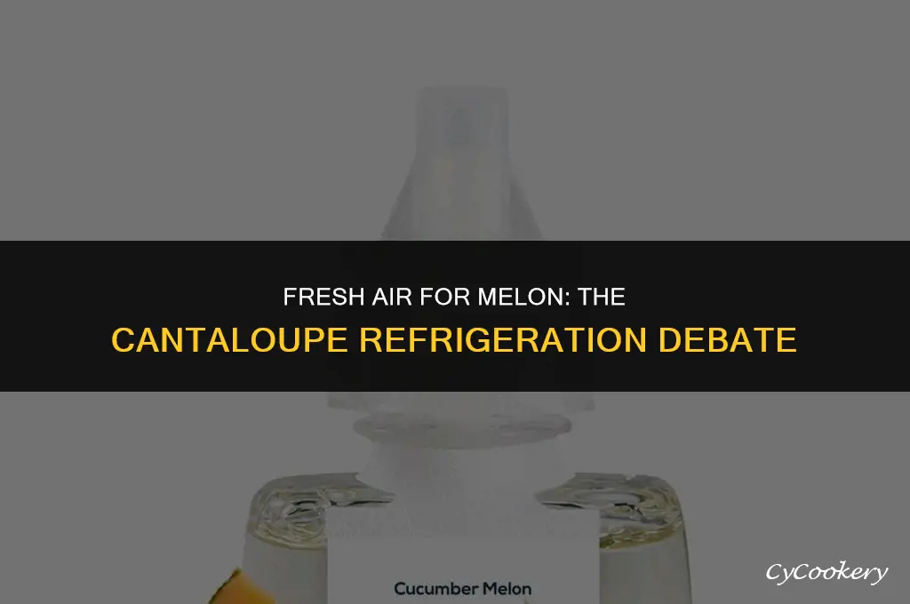 is it okay to leave previously refrigerated cantaloupe outside