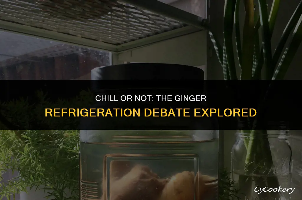is it okay to put ginger in the refrigerator