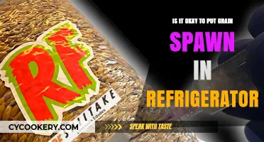 Chilling Grain Spawn: A Guide to Safe Refrigeration Practices